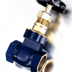 Gun Metal Gate Valve