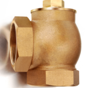 Bronze Angle Lift Check Valve