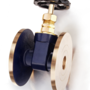 Gun Metal Gate Valve