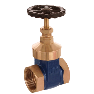 Gate Valve (ISI Marked)