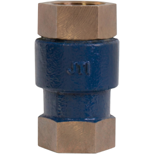 Vertical Check Valve