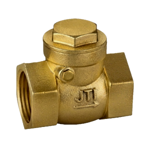 Swing Check Valve